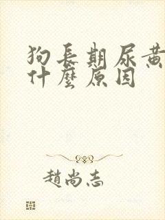 狗长期尿黄尿是什么原因封面