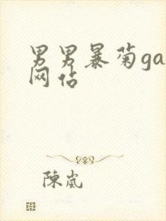 男男暴菊gay网站