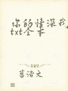 你的情深我不配txt全本