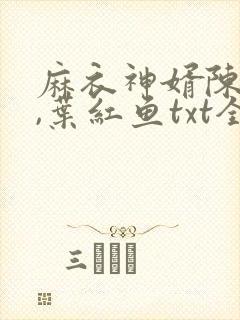 麻衣神婿陈黄皮,叶红鱼txt全文下载