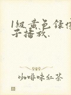 1级黄色录像片子播放.封面