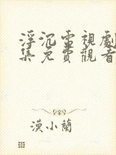 浮沉电视剧40集免费观看高清