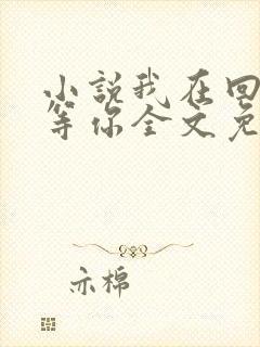 小说我在回忆里等你全文免费阅读