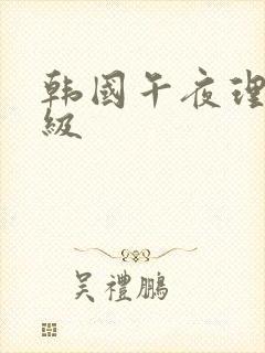 韩国午夜理论三级封面