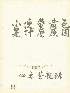 小便带黄色液体是什么原因