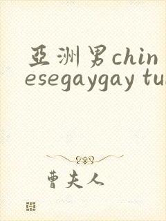 亚洲男chinesegaygay tube