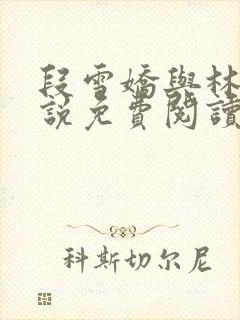 段雪娇与林杰小说免费阅读封面