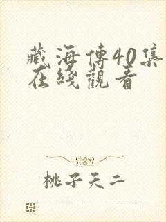 藏海传40集全在线观看