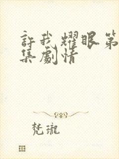 许我耀眼第24集剧情