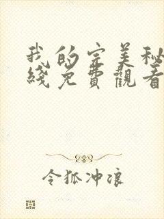 我的完美秘书在线免费观看