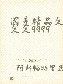 国产精品久久久久久9999