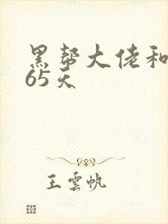 黑帮大佬和他365天