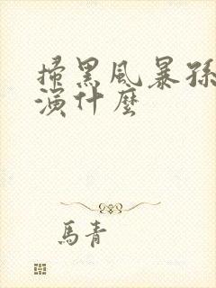 扫黑风暴孙红雷演什么