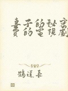 妻子的秘密3免费的电视剧完整版高清