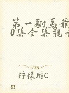 第一驸马爷100集全集观看