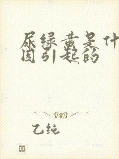 尿绿黄是什么原因引起的