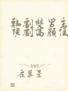 韩剧双男主的电视剧高颜值