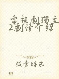 电视剧独立纵队2剧情介绍