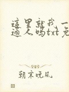 这里就我一个普通人吗txt免费阅读