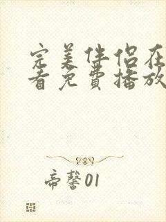 完美伴侣在线观看免费播放全集封面