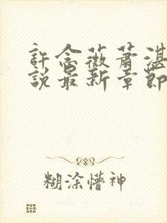 许念薇萧湛明小说最新章节免费阅读