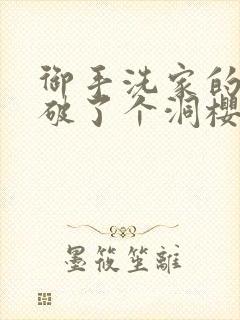 御手洗家的墙壁破了个洞樱花封面