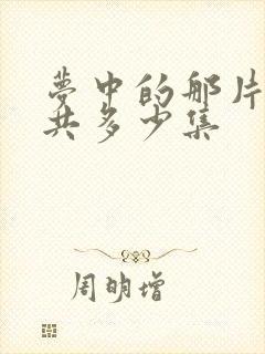 梦中的那片海总共多少集