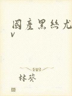 国产黑丝尤物av封面