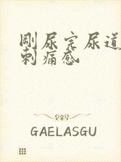 刚尿完尿道口有刺痛感