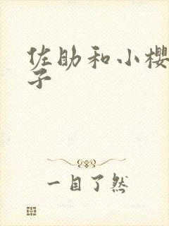 佐助和小樱的本子