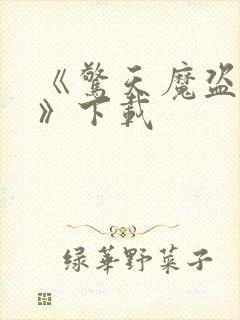 《惊天魔盗团3》下载封面