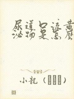 尿道口流黄色分泌物是怎么回事封面