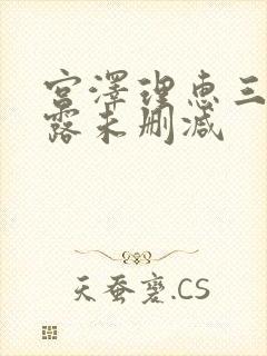 宫泽理惠三点尽露未删减封面