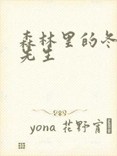 森林里的冬眠熊先生