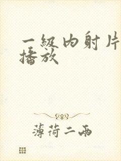 一级内射片在线播放