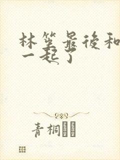 林笙最后和谁在一起了封面