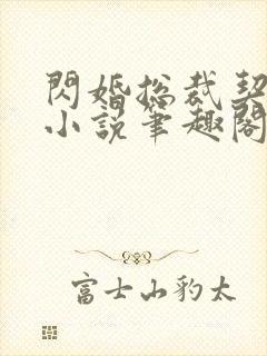 闪婚总裁契约妻小说笔趣阁