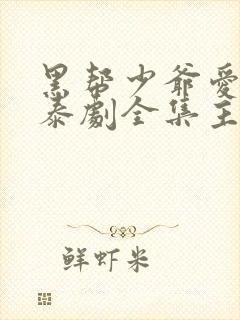 黑帮少爷爱上我泰剧全集主演封面