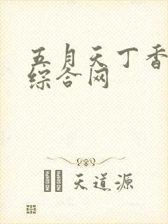 五月天丁香婷婷综合网封面