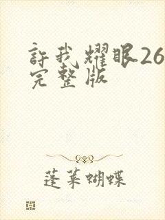 许我耀眼26集完整版封面