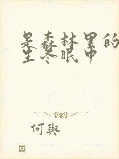 是森林里的熊先生冬眠中