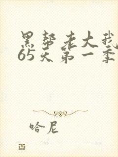 黑帮老大我的365天第一季无删减版