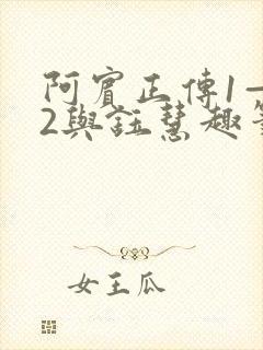 阿宾正传1—72与钰慧趣笔阁txt
