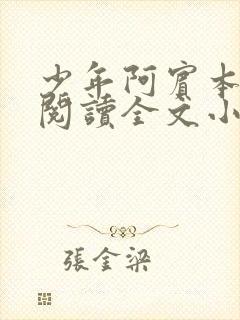 少年阿宾本全文阅读全文小说