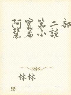 阿宾第二部之钰慧篇小说