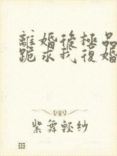 离婚后极品前夫跪求我复婚免费阅读封面