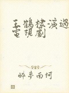 王鹤棣演过什么电视剧