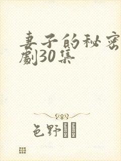妻子的秘密电视剧30集