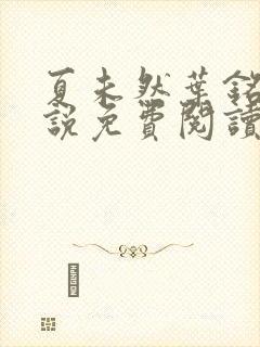 夏未然叶铭恩小说免费阅读最新章节