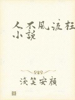 人不风流枉少年小说封面